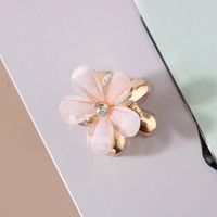 Women's Sweet Flower Arylic Alloy Plating Hair Clip sku image 1