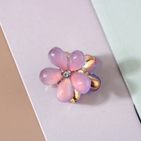 Women's Sweet Flower Arylic Alloy Plating Hair Clip sku image 10