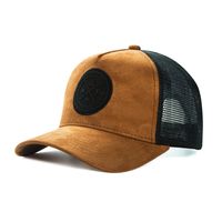Unisex Simple Style Color Block Star Hollow Out Curved Eaves Baseball Cap sku image 1