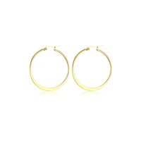 1 Pair Simple Style Classic Style Solid Color Plating Stainless Steel Hoop Earrings main image 7