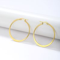 1 Pair Simple Style Classic Style Solid Color Plating Stainless Steel Hoop Earrings main image 6