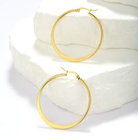1 Pair Simple Style Classic Style Solid Color Plating Stainless Steel Hoop Earrings main image 4