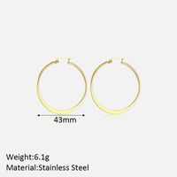 1 Pair Simple Style Classic Style Solid Color Plating Stainless Steel Hoop Earrings main image 2