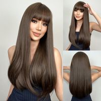 Women's Adults Sexy Sweet Brown Casual Holiday Weekend Chemical Fiber Bangs Long Straight Hair Wig Net sku image 1