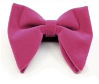 Elegant Solid Color Bow Knot Velvet Men's Tie sku image 10