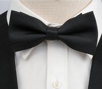 Simple Style Solid Color Bow Knot Polyester Men's Tie sku image 8