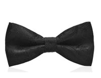 Simple Style Solid Color Bow Knot Polyester Men's Tie sku image 25