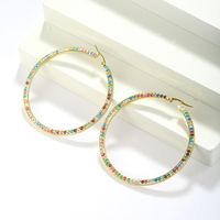 1 Pair Simple Style Classic Style Colorful Plating Inlay Stainless Steel Artificial Diamond Hoop Earrings main image 4