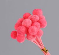 Simple Style Classic Style Solid Color Dried Flower Ornaments Artificial Flowers sku image 3