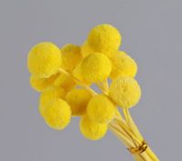 Simple Style Classic Style Solid Color Dried Flower Ornaments Artificial Flowers sku image 4