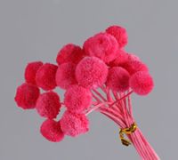 Simple Style Classic Style Solid Color Dried Flower Ornaments Artificial Flowers sku image 6