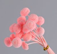 Simple Style Classic Style Solid Color Dried Flower Ornaments Artificial Flowers sku image 7