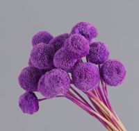 Simple Style Classic Style Solid Color Dried Flower Ornaments Artificial Flowers sku image 9
