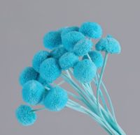 Simple Style Classic Style Solid Color Dried Flower Ornaments Artificial Flowers sku image 10