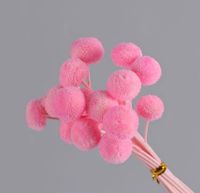Simple Style Classic Style Solid Color Dried Flower Ornaments Artificial Flowers sku image 11