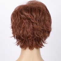 Women's Casual Simple Style Holiday Home High Temperature Wire Side Fringe Short Curly Hair Wigs main image 5