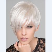 Women's Simple Style Casual High Temperature Wire Long Bangs Short Straight Hair Wigs sku image 1