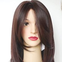 Women's Simple Style Holiday High Temperature Wire Long Bangs Long Straight Hair Wigs main image 1