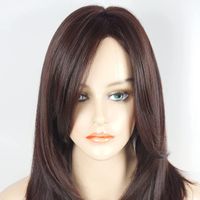 Women's Simple Style Holiday High Temperature Wire Long Bangs Long Straight Hair Wigs main image 5