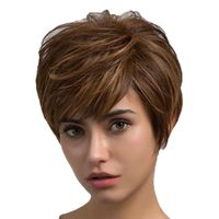 Women's Simple Style Casual Home High Temperature Wire Side Fringe Short Straight Hair Wigs main image 3