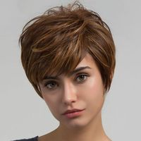 Women's Simple Style Casual Home High Temperature Wire Side Fringe Short Straight Hair Wigs main image 2