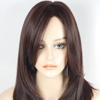 Women's Simple Style Holiday High Temperature Wire Long Bangs Long Straight Hair Wigs main image 6