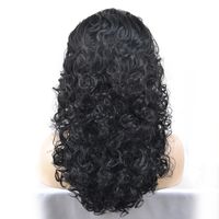 Women's Elegant Sexy Casual Party Stage High Temperature Wire Long Curly Hair Wig Net main image 2