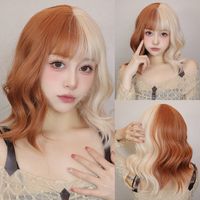 Women's Simple Style Casual Carnival Stage High Temperature Wire Bangs Long Curly Hair Wig Net sku image 1