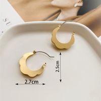 1 Pair Simple Style Geometric Plating Iron Earrings main image 2
