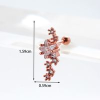 Ear Cartilage Rings & Studs Fashion Geometric 316 Stainless Steel  Copper Inlaid Zircon sku image 15