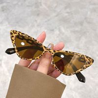 Retro Lady Leopard Pc Cat Eye Full Frame Women's Sunglasses sku image 3