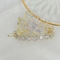 Women's Lady Flower Alloy Plating Inlay Zircon Hair Clip sku image 1