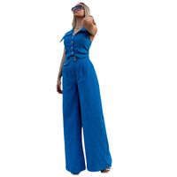 Daily Street Women's Elegant Solid Color Polyester Pants Sets Pants Sets main image 5