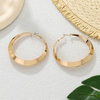 1 Pair Exaggerated Simple Style Round Plating Iron Hoop Earrings sku image 1