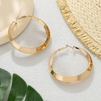 1 Pair Exaggerated Simple Style Round Plating Iron Hoop Earrings main image 4