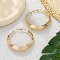 1 Pair Exaggerated Simple Style Round Plating Iron Hoop Earrings main image 5