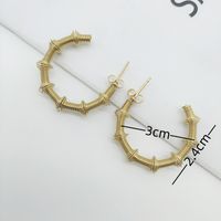 1 Pair Retro Geometric Bamboo Plating 304 Stainless Steel 18K Gold Plated Earrings main image 2