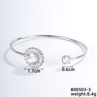 304 Stainless Steel Copper Casual Simple Style Classic Style Geometric Heart Shape Flower Zircon Bangle sku image 13