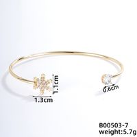 304 Stainless Steel Copper Casual Simple Style Classic Style Geometric Heart Shape Flower Zircon Bangle sku image 7