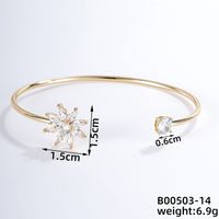 304 Stainless Steel Copper Casual Simple Style Classic Style Geometric Heart Shape Flower Zircon Bangle sku image 9