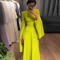 Women's Sheath Dress Elegant Classic Style High Neck Long Sleeve Solid Color Maxi Long Dress Daily main image 5