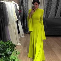 Women's Sheath Dress Elegant Classic Style High Neck Long Sleeve Solid Color Maxi Long Dress Daily main image 2