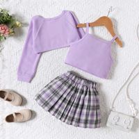 Simple Style Classic Style Solid Color Polyester Girls Dresses main image 5