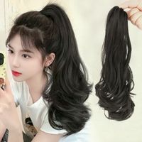 Women's Elegant Casual Party High Temperature Wire Long Curly Hair Wigs sku image 1