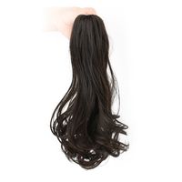 Women's Elegant Casual Party High Temperature Wire Long Curly Hair Wigs main image 2