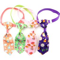 Simple Style Classic Style Cloth Easter Color Block Pet Clothing main image 5