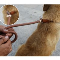 Simple Style Classic Style Nylon Solid Color Leash main image 1