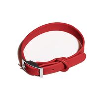 Simple Style Classic Style Pvc Polyester Solid Color Leash main image 2