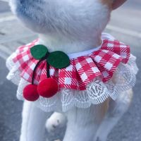 Casual Lace Lattice Pet Collar main image 1