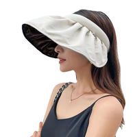 Femmes Élégant De Base Style Simple Couleur Unie Grand Avant-toit Chapeau De Soleil main image 3